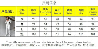 Women's 2-Piece Hooded Tracksuit – Sporty Casual Set with Waist-Cinching Design Promise Mart